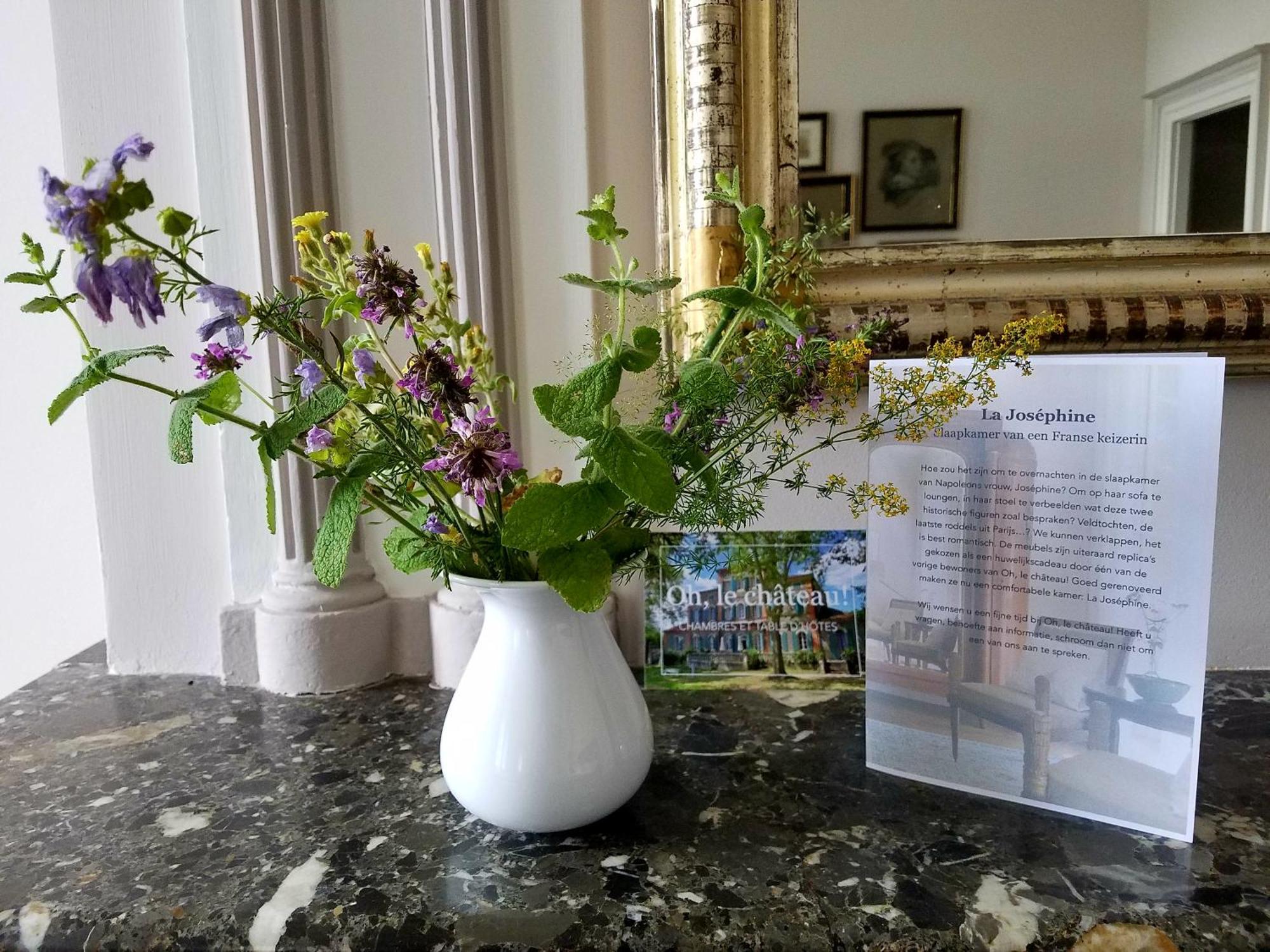 Oh, Le Chateau! Almayrac Zimmer foto